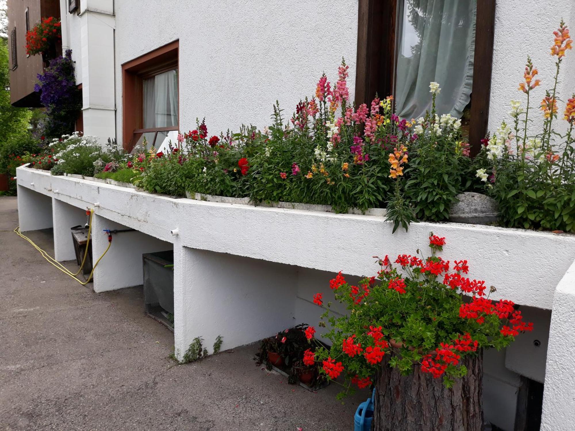 Hotel Principe Cortina dʼAmpezzo Dış mekan fotoğraf