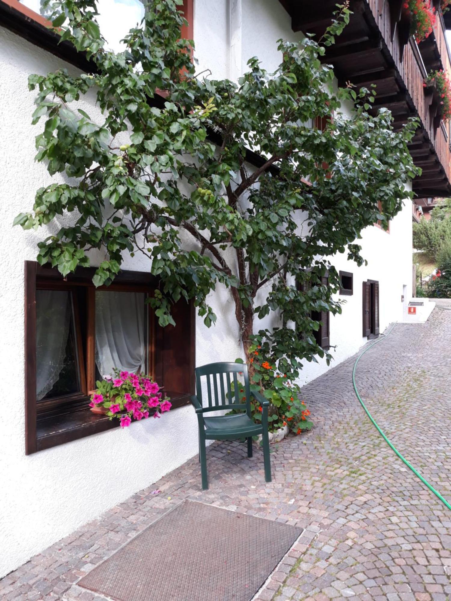Hotel Principe Cortina dʼAmpezzo Dış mekan fotoğraf