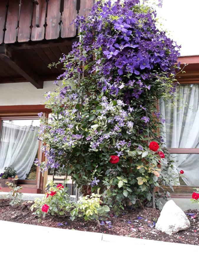 Hotel Principe Cortina dʼAmpezzo Dış mekan fotoğraf