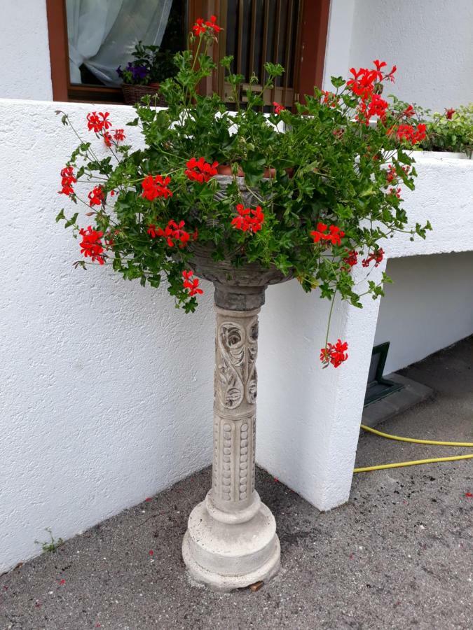 Hotel Principe Cortina dʼAmpezzo Dış mekan fotoğraf